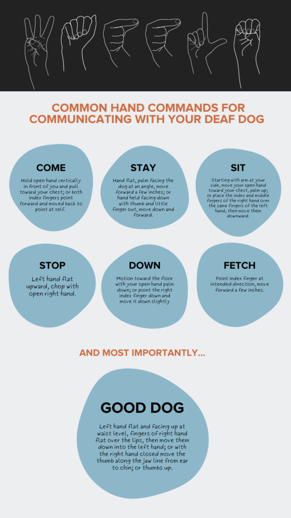 Hand gestures to use with a deaf dog