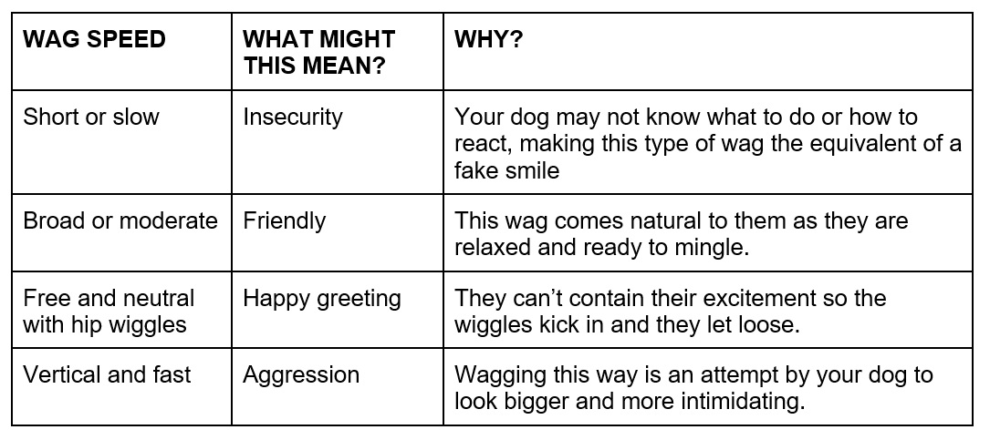 A table of wag speeds and their meaning